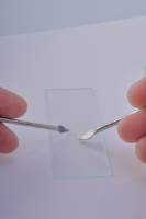 Dilacération fibres musculaires